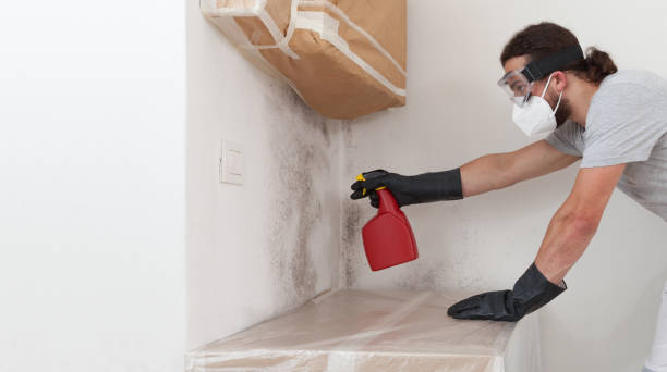Professional Basement Mold Remediation technician working in Woodbury, PA