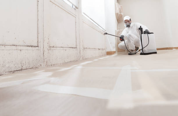 24/7 Emergency Basement Mold Remediation experts in Woodbury, PA