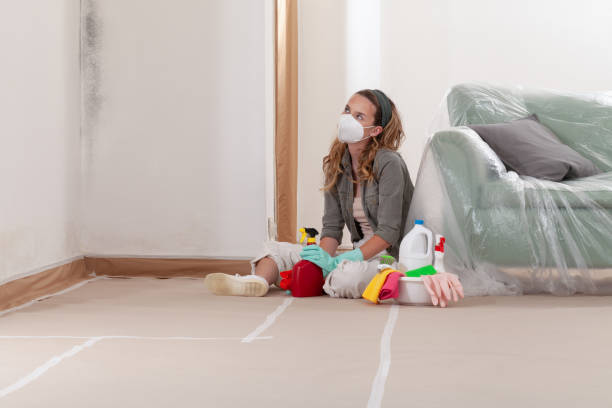 Reliable Basement Mold Remediation contractor in Woodbury, PA by Car Mold Remediation